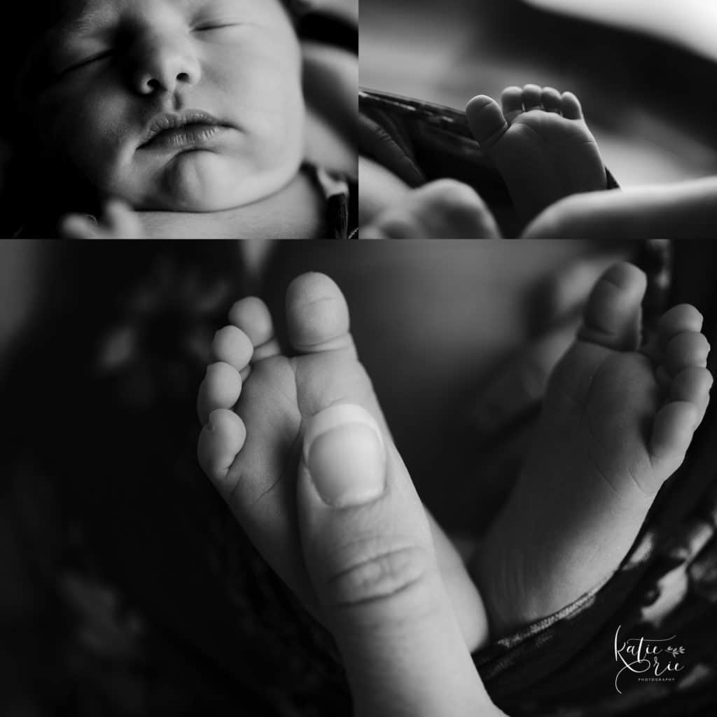 newborn photography near me