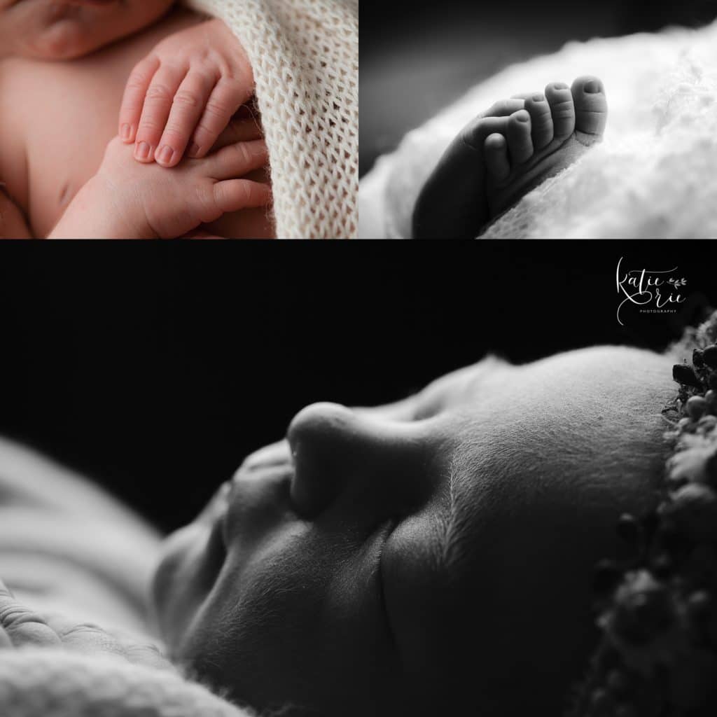 Huntersville Newborn Photos