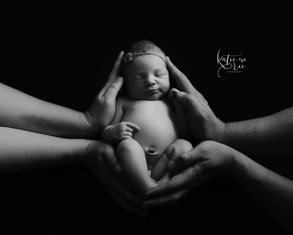 Charlotte Newborn Photographer